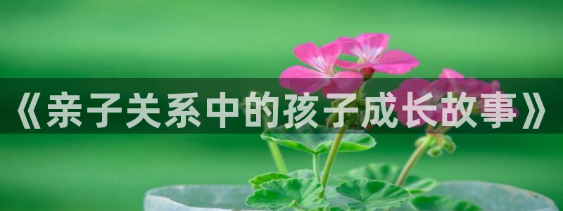 虫虫漫画网广而告之