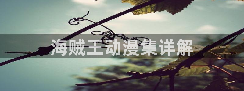 虫虫漫画网站免费入口：海贼王动漫集详解