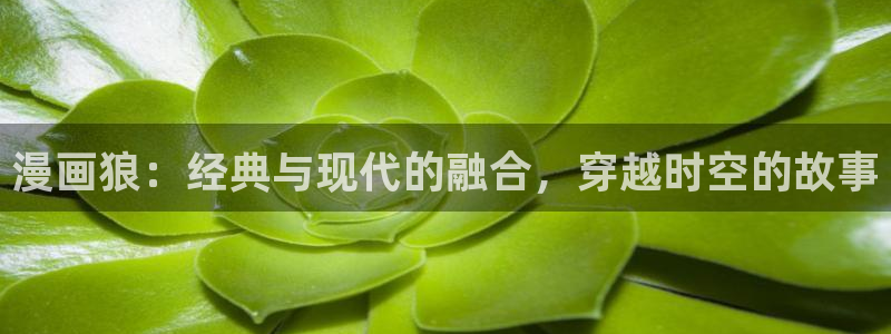 虫虫漫画免费阅读入口在线观看
