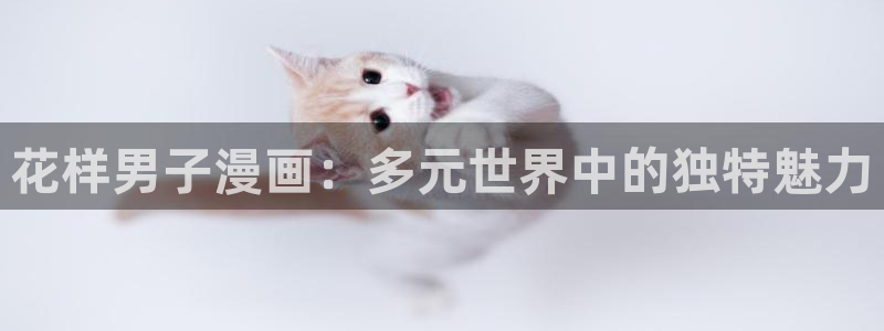 虫虫漫画登录页面免费漫画